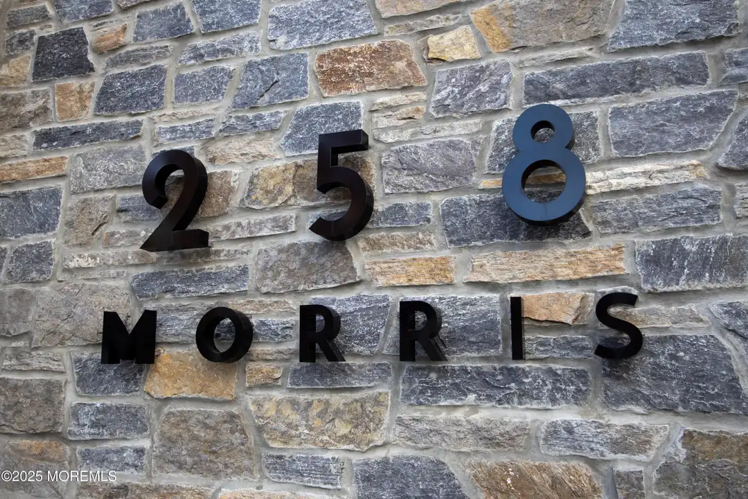 258 Morris Ave #314 – photo 1