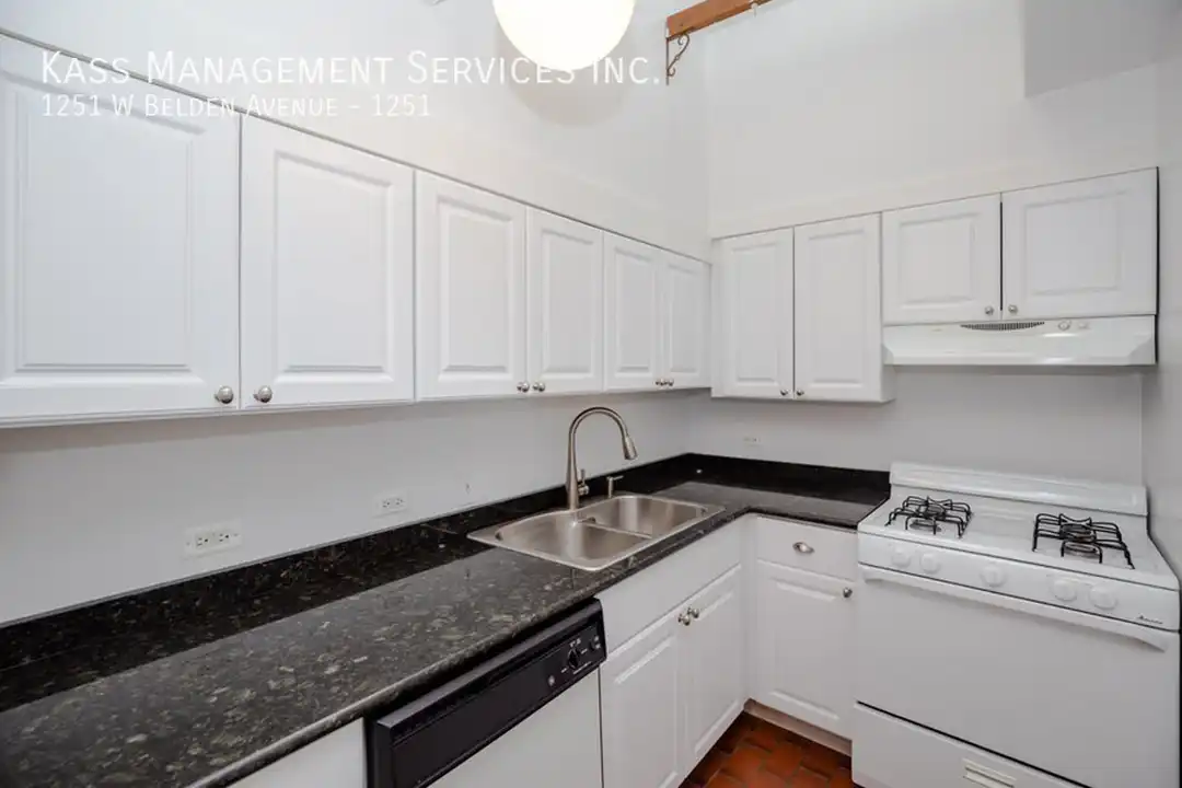 1251 W Belden Ave - View 4