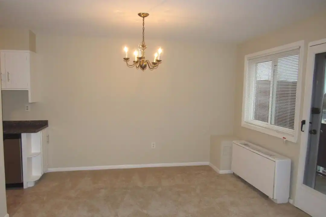 Apartment in Arlington - View 5