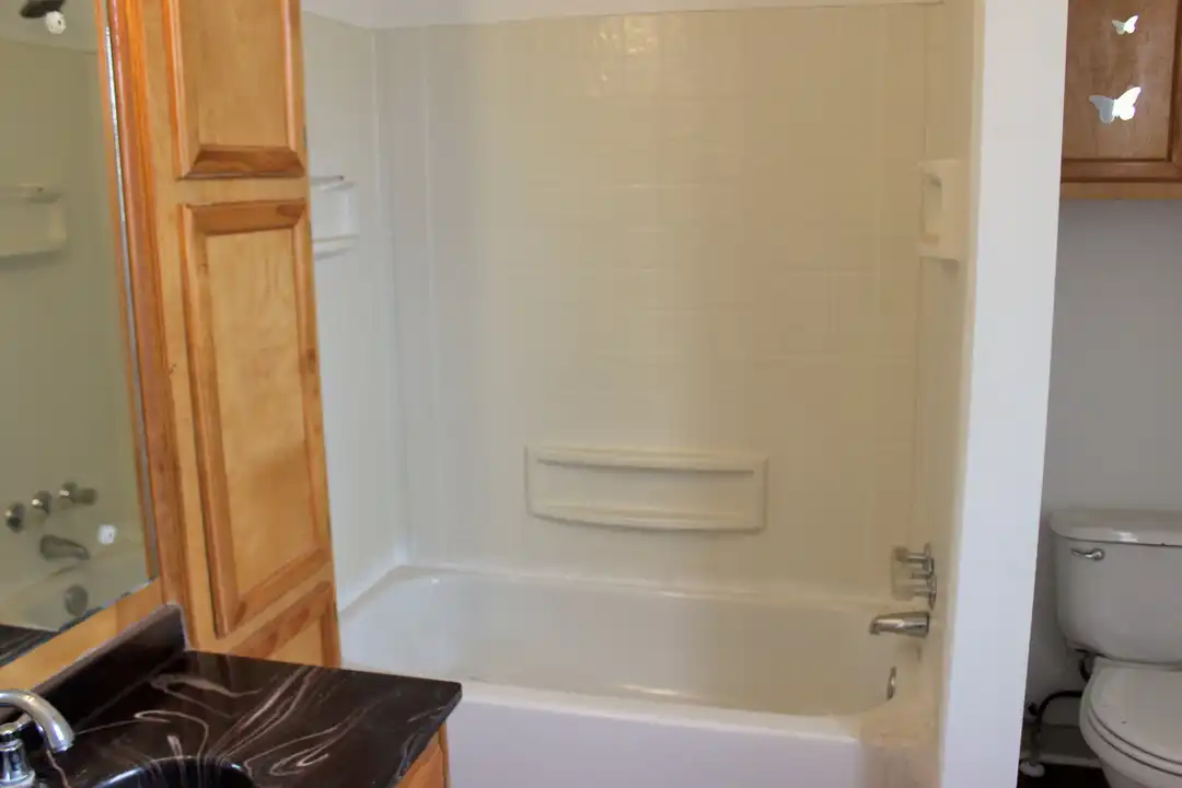 1003 E Alamo St - View 5