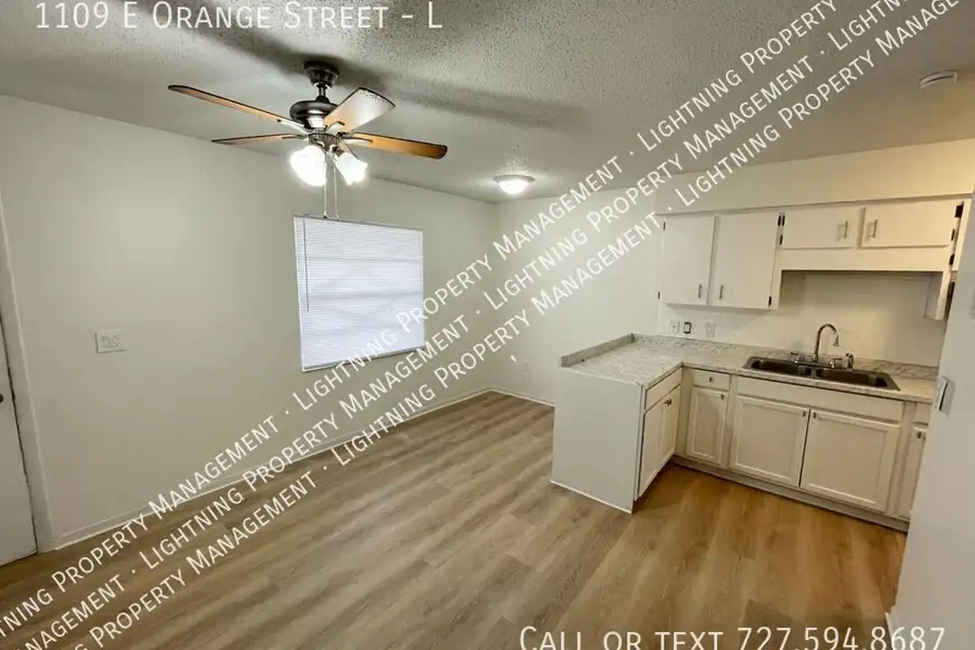 1109 E Orange St - View 3