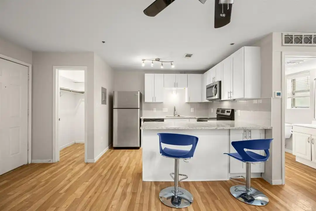 Apartment in Austin - View 2
