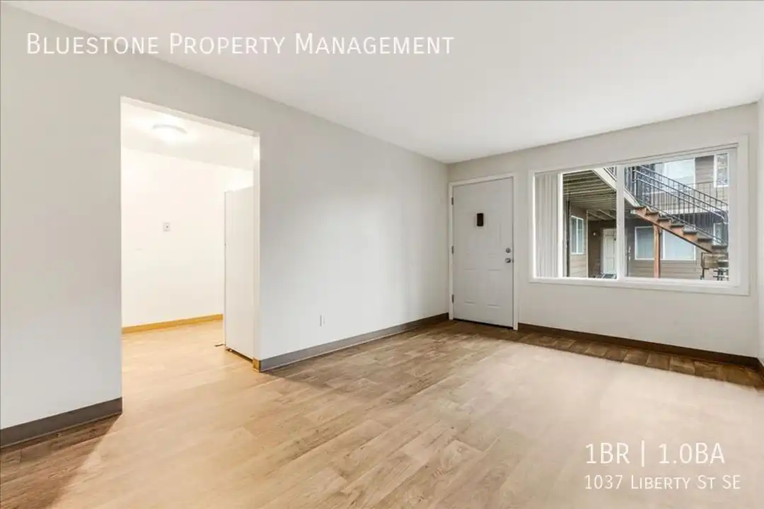 1037 Liberty St SE - View 4