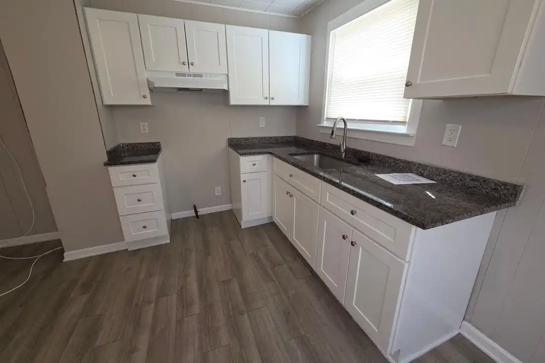 House in Redford Township - More
