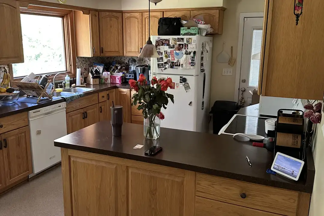 175 Shirley Ann Dr – photo 1