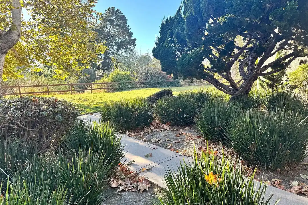 Barranca Vista Townhomes - View 2