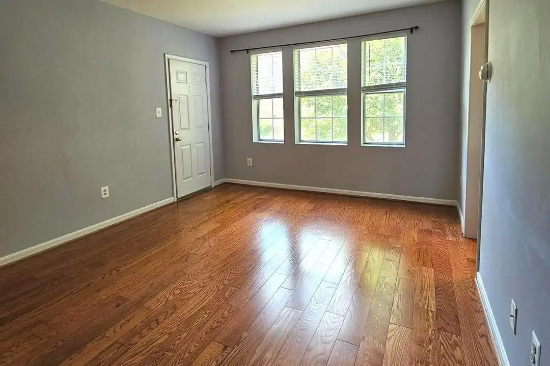 Apartment in Arlington - More
