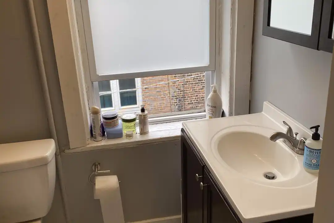 4558 S Justine St unit 2M - View 6