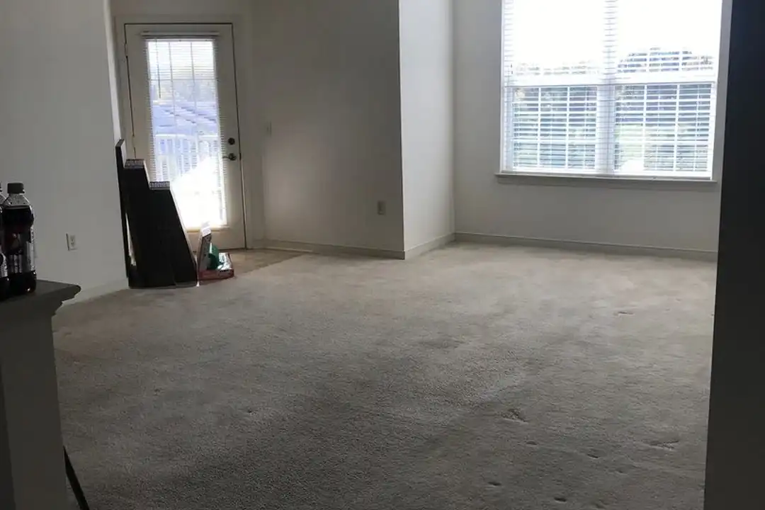 100 Deerfield Ln - View 6
