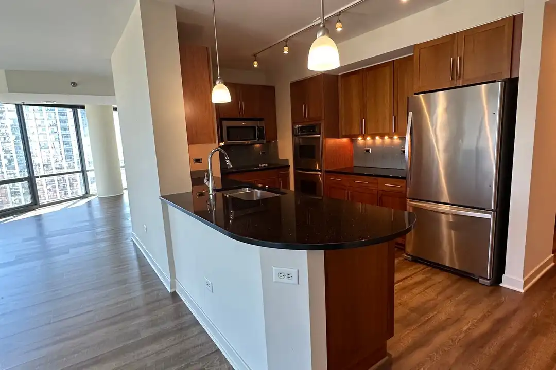 1257 S Michigan Ave - View 4