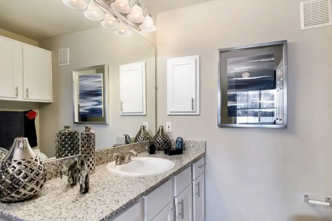 3012 Franciscan Dr unit # 2513 - View 2
