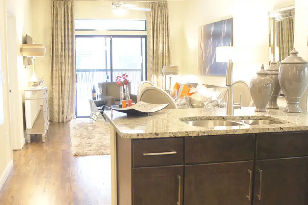 2701 W Dallas St - View 6
