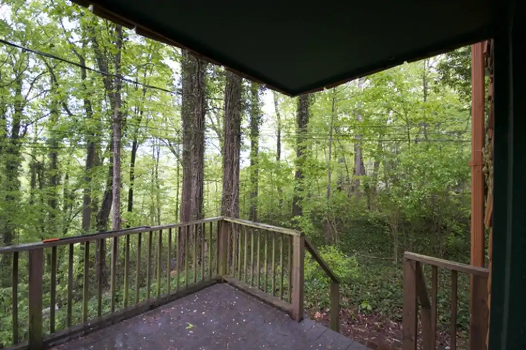 510 Vineyard Rd - View 3