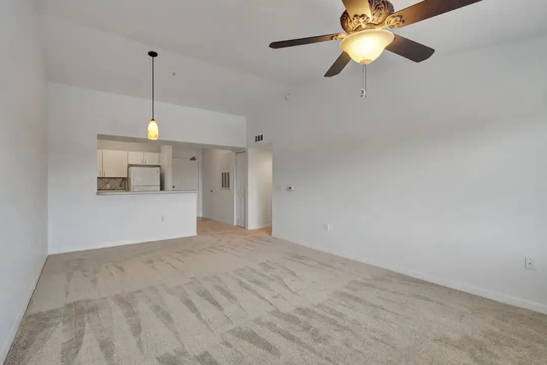 8297 Key Royal Ln unit 334 - More