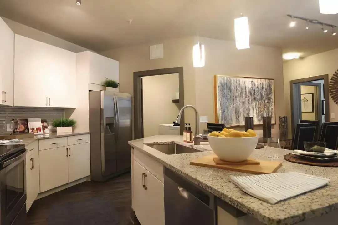 14900 Memorial Dr unit # 14915 - More