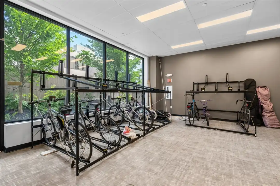 50 Leo M Birmingham Pkwy unit 507 - More