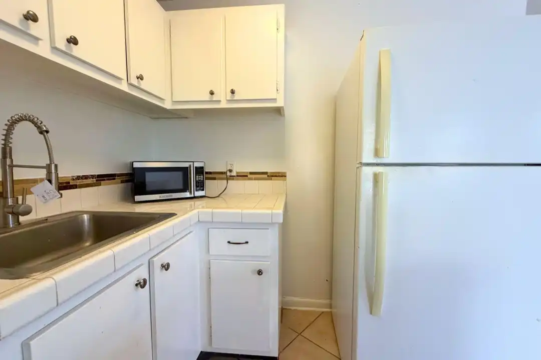 519 W Kalmia Dr #2 - More