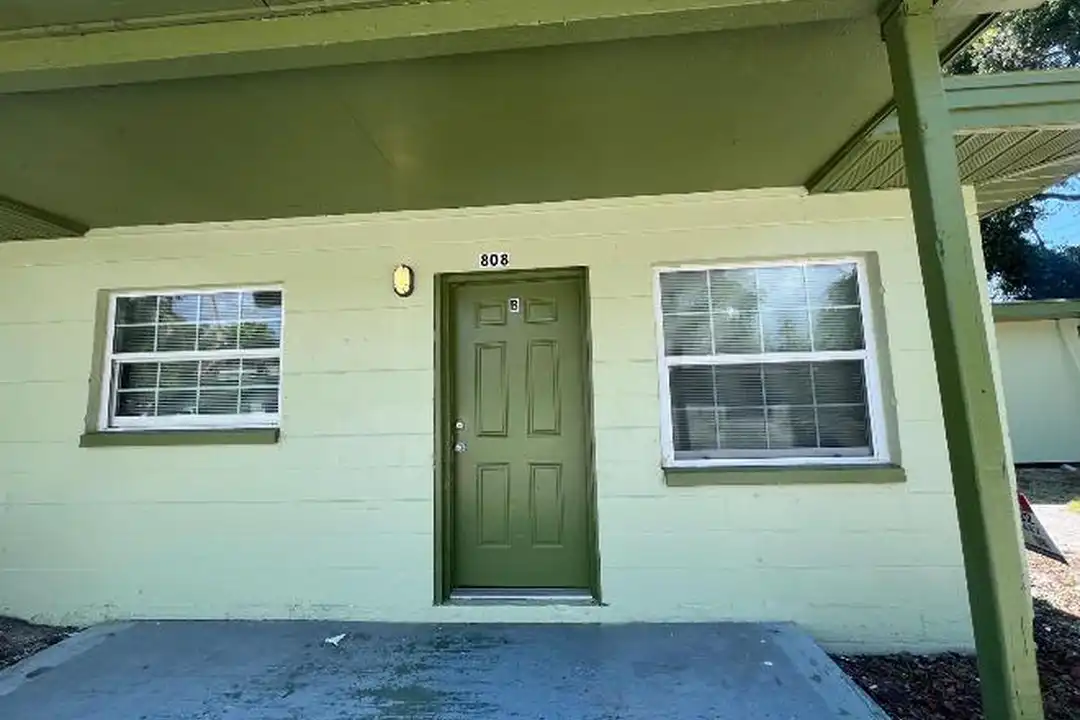 808 Palm Bluff St – photo 1
