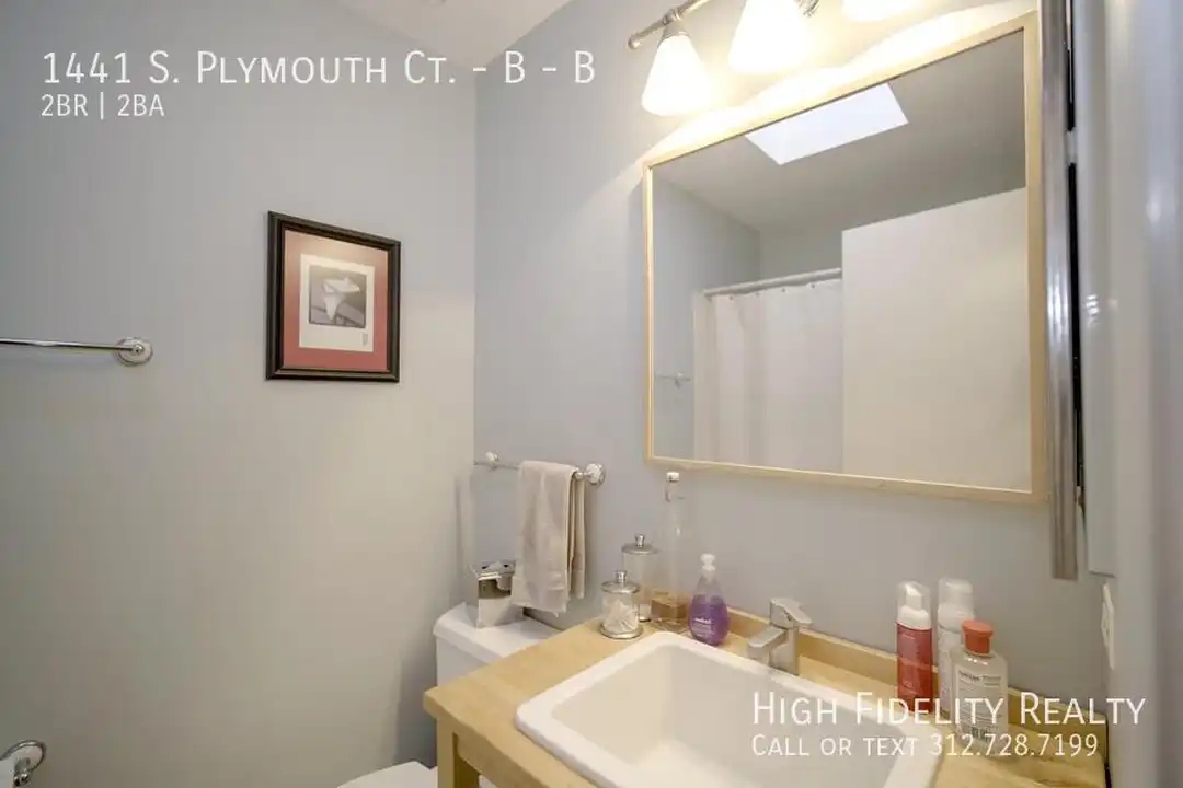 1441 S Plymouth Ct unit B - View 6
