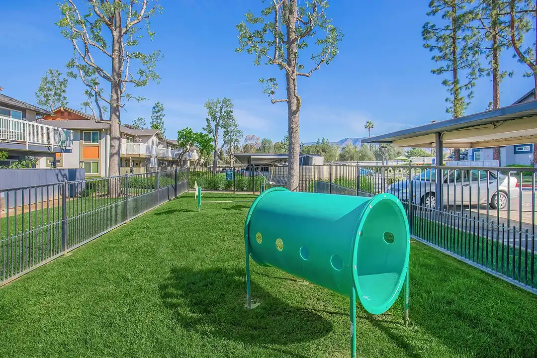 Aspire Redlands - More