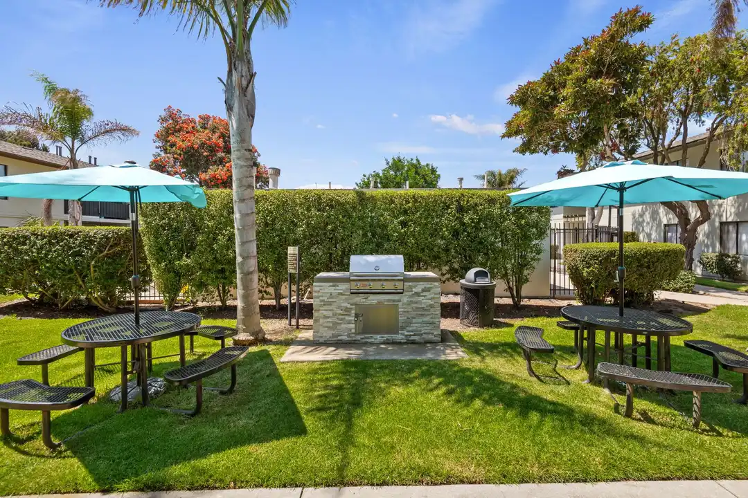 Bay Laurel - View 4