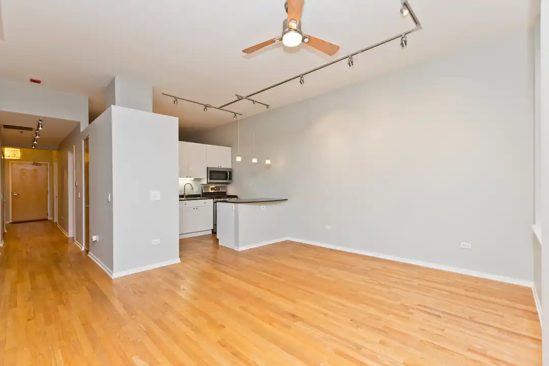 1201 W Adams St unit 709 - View 3