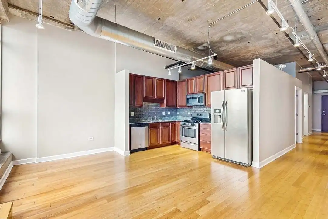 1550 S Blue Island Ave unit 1118 - View 6