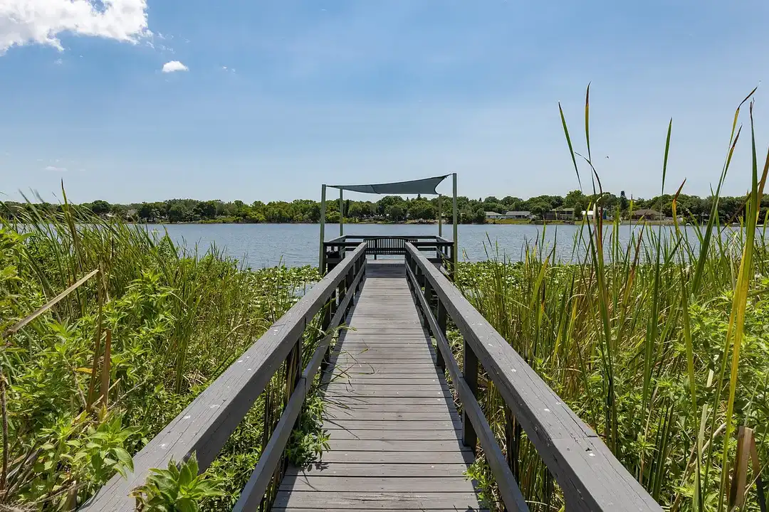 Lakeview at Palm Harbor – photo 1