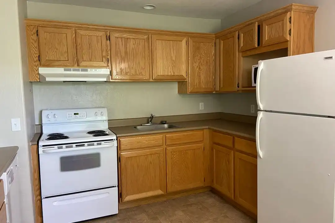 339 N Rush St unit Unit 206 - View 3