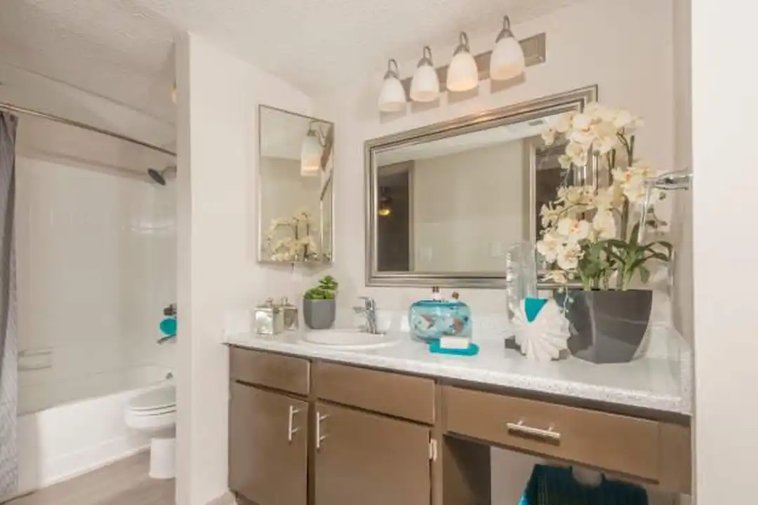 512 Palace Pkwy unit # 512 - View 6