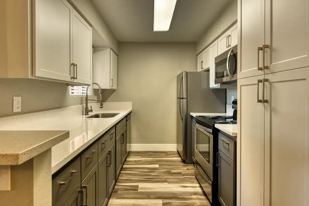 Avana Tempe - View 6