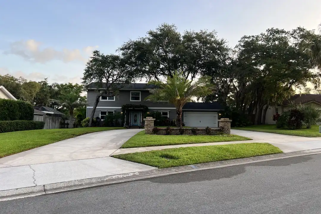 House in Palm Harbor - View 2