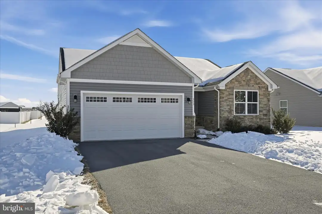 313 Switchgrass Ct - View 3