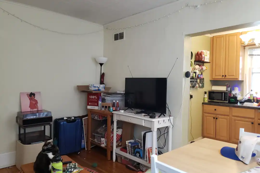 321 W Wilson St unit 4 - View 4