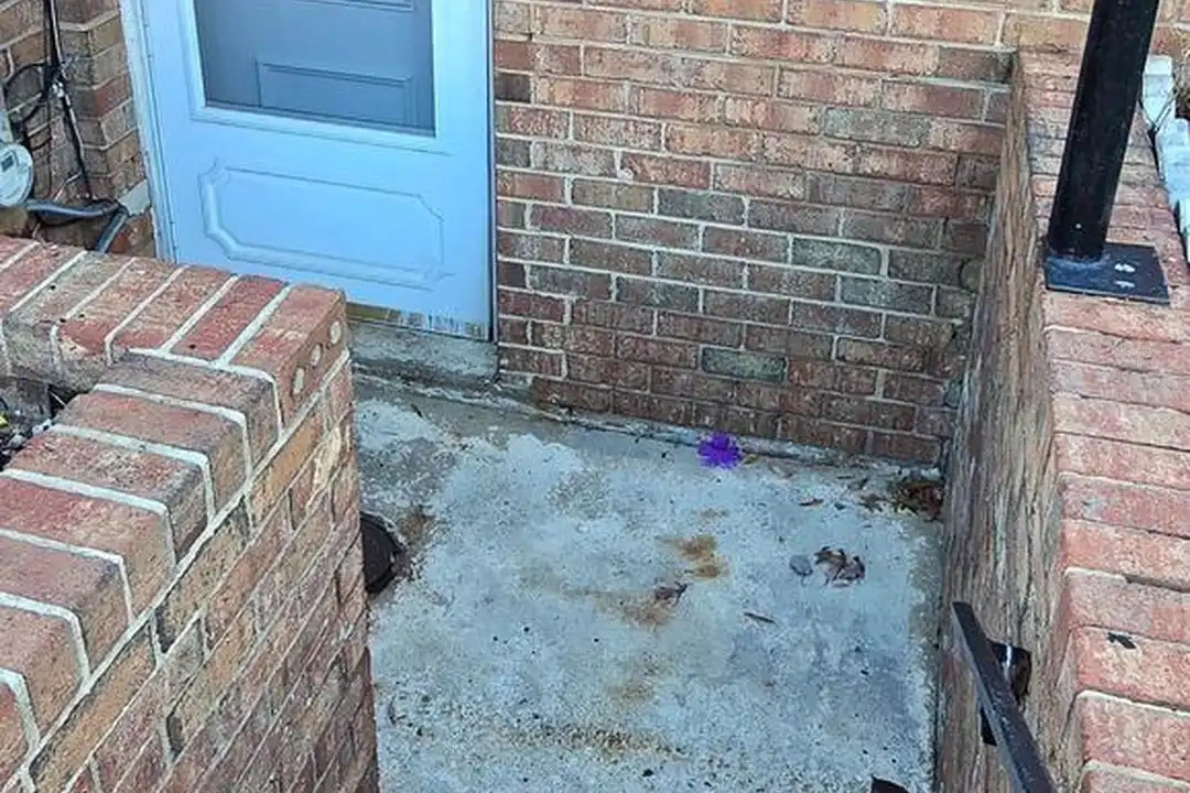 4641 6th St SE unit BASEMENT – photo 1