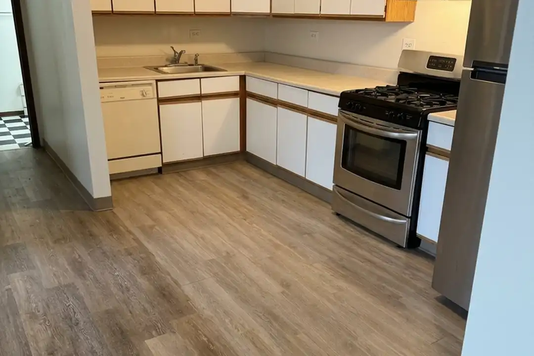 1251 N Clybourn Ave unit 2M - View 3
