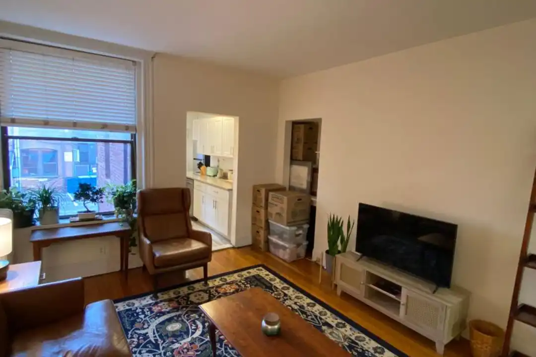 46 Orkney Rd - Näkymä 6