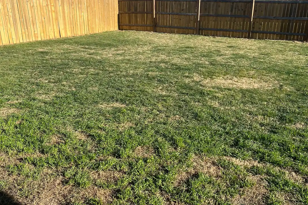 9008 Cantera Rdg Rd - View 4