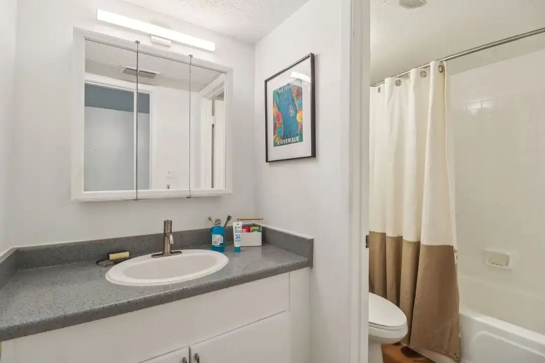 215 Jackson Keller Rd unit 202 - View 3