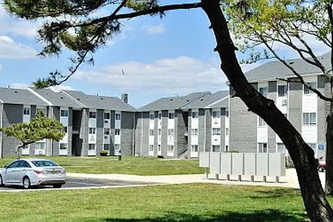 Carolina Village - More