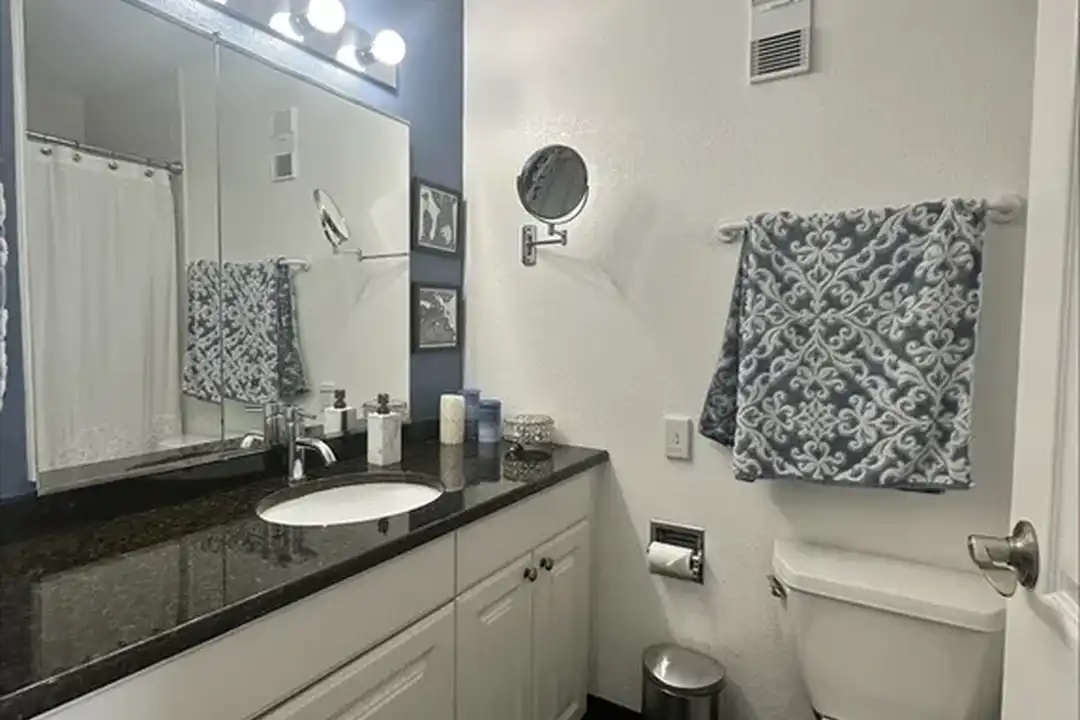 1625 Larimer St unit 3101 - View 5