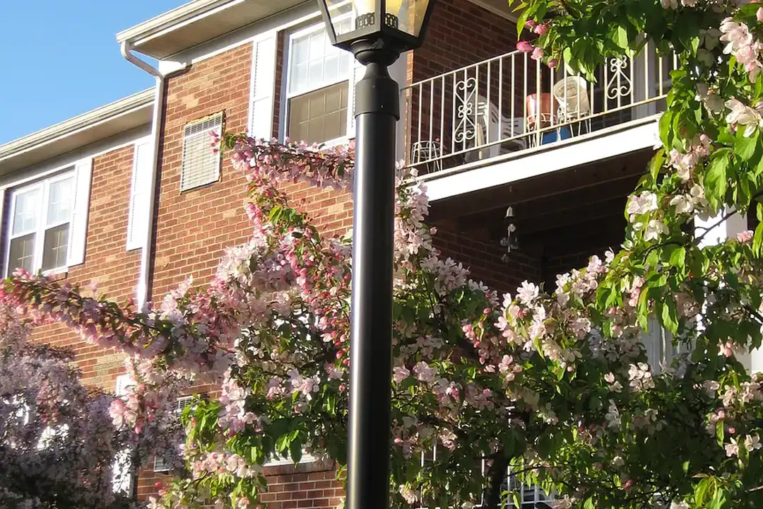 Park Hill Lane Apartments – photo 1 of 31