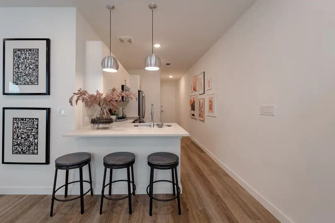 Coop at Summer Street – photo 1