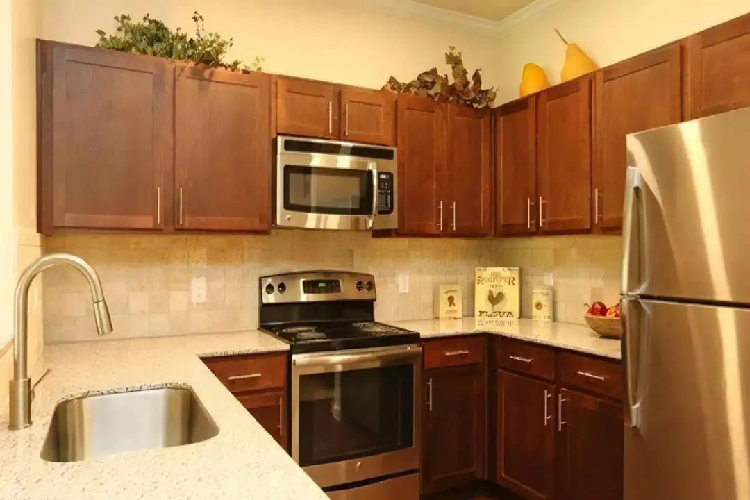 1101 Longhorn Rd - View 4