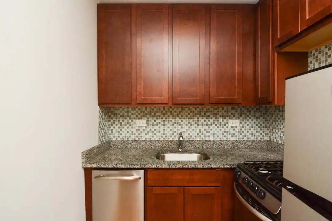 545 W Arlington Pl unit 705 - View 2