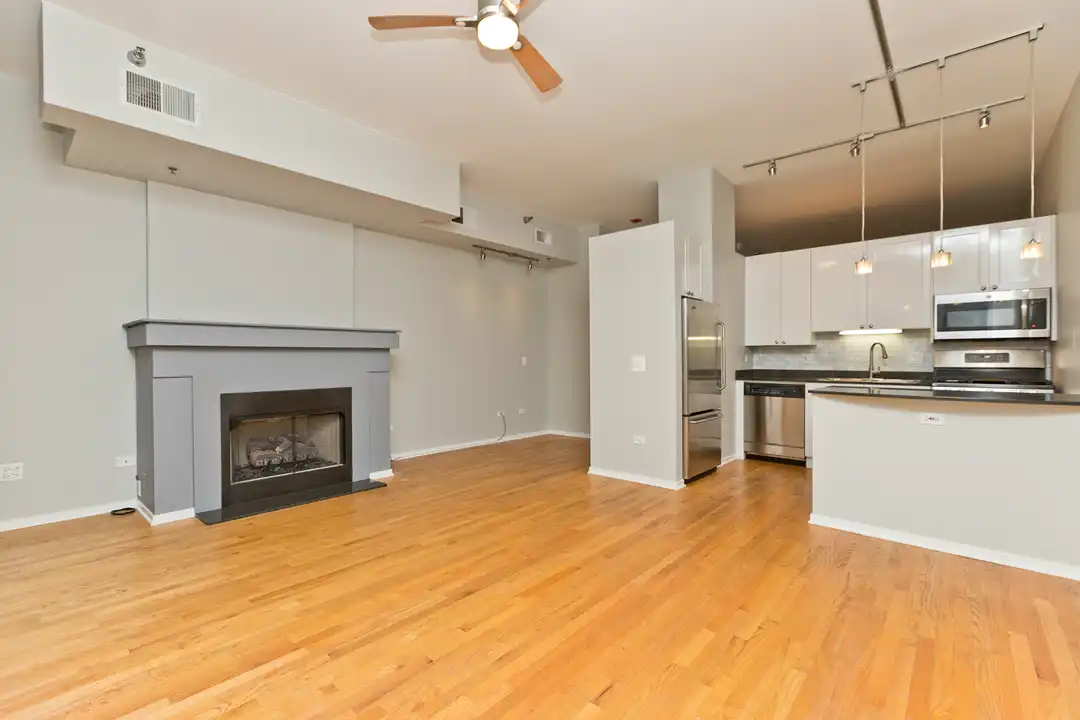 1201 W Adams St unit 709 - View 2