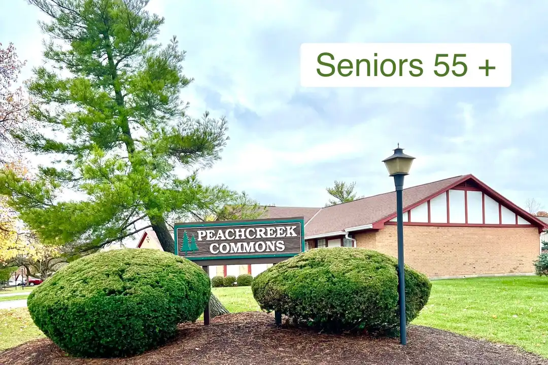 889 Peach Leaf Dr – photo 1 of 10