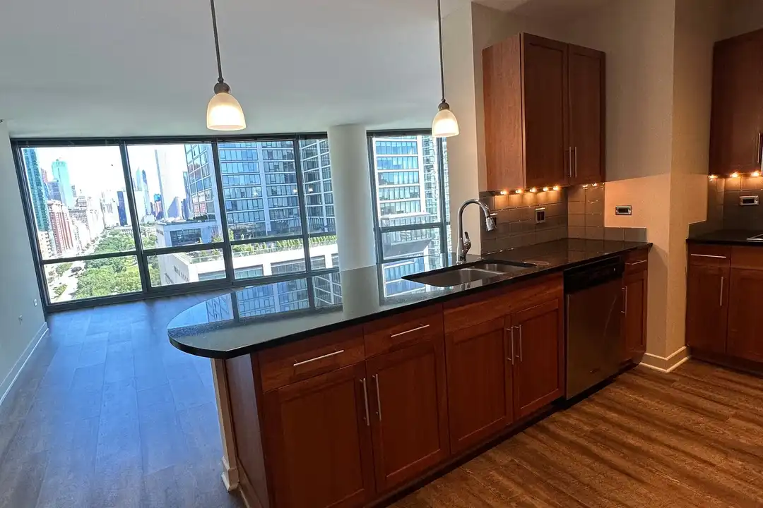 1257 S Michigan Ave - View 2