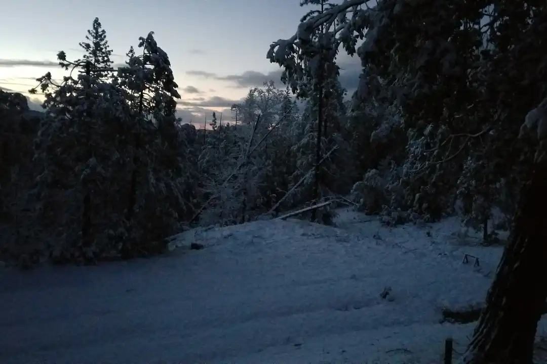 6106 Smithers Rd - View 4
