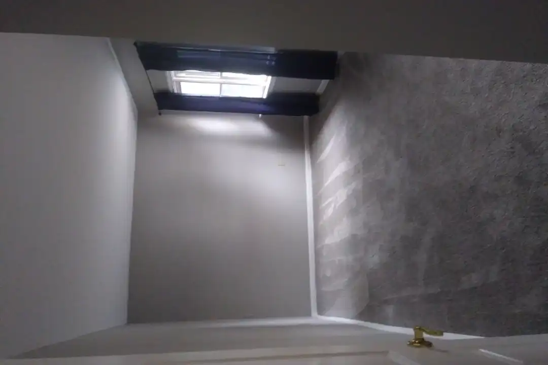 319 Maitland St - View 4